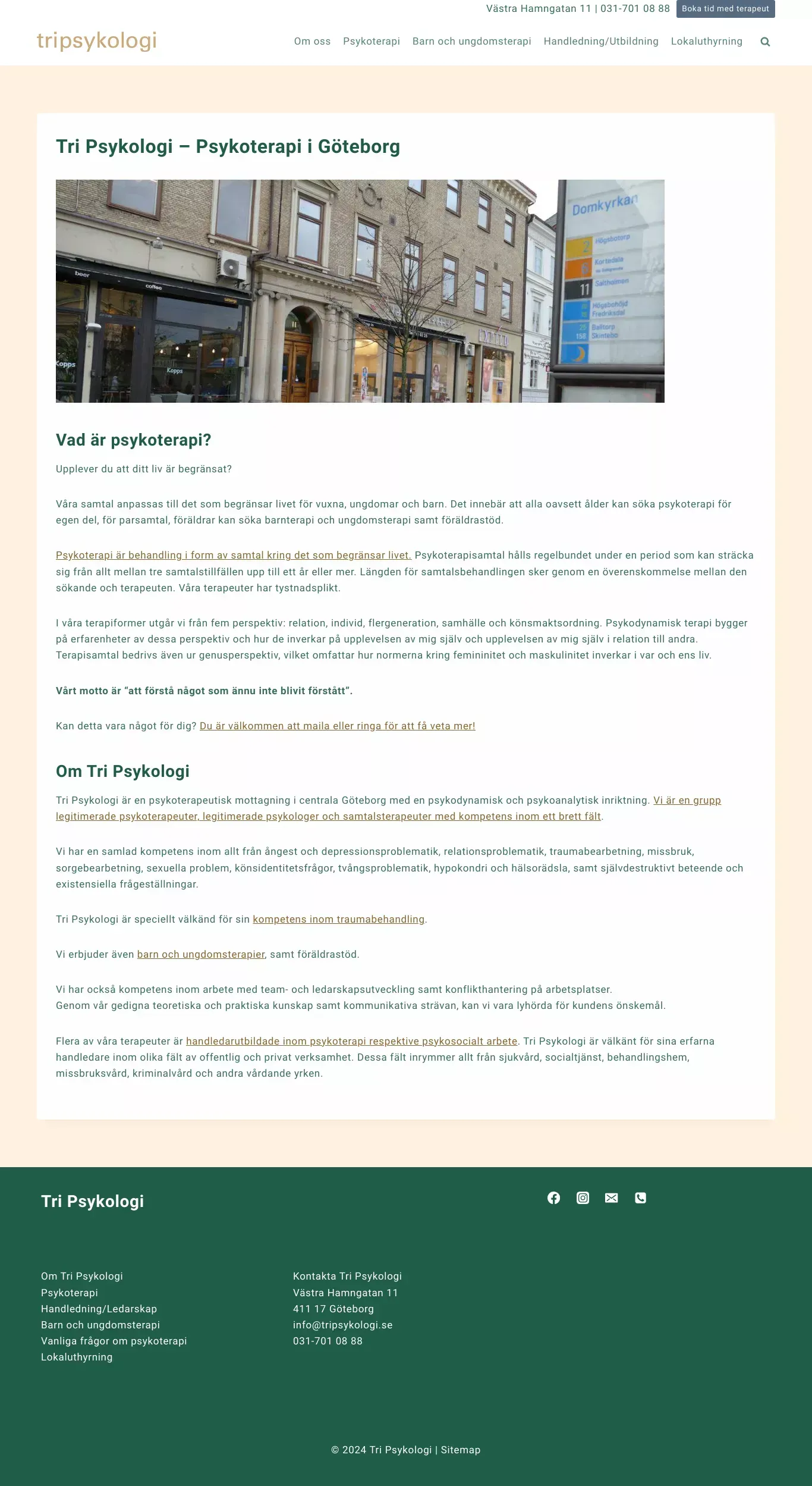 Psykoterapi I Centrala Göteborg - Tri Psykologi - website design