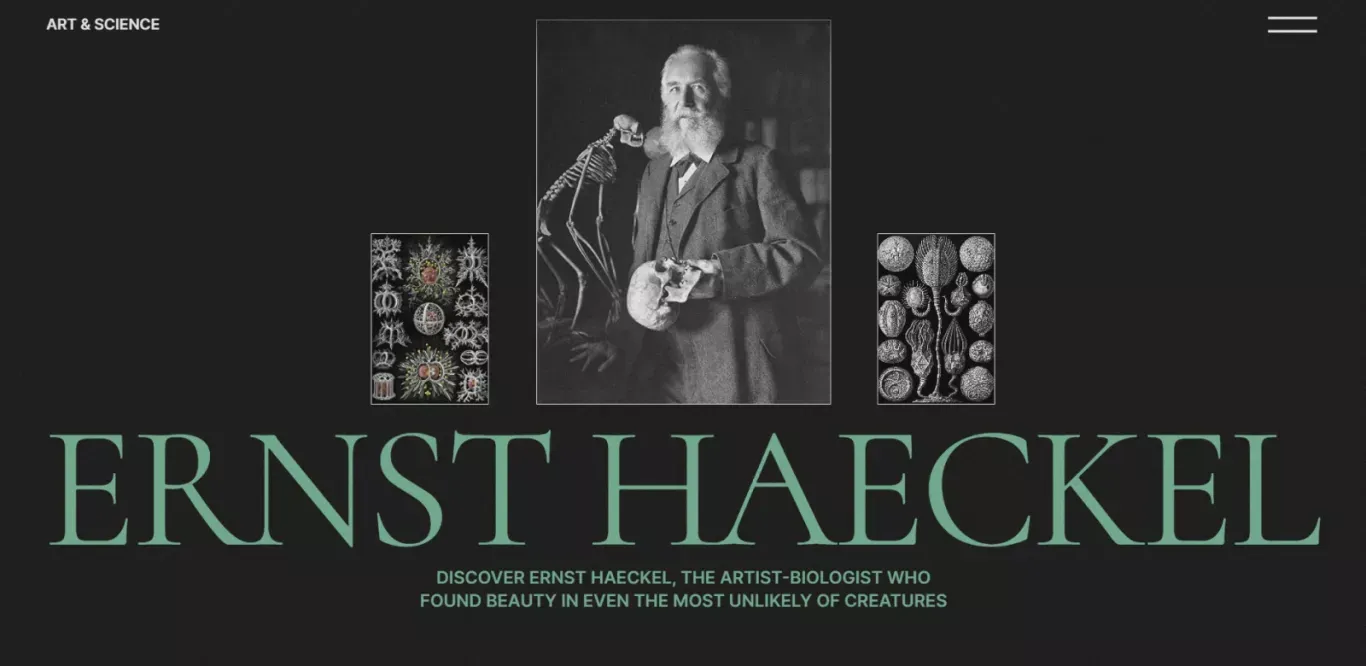 Ernst Haeckel and his illustrations - Other design