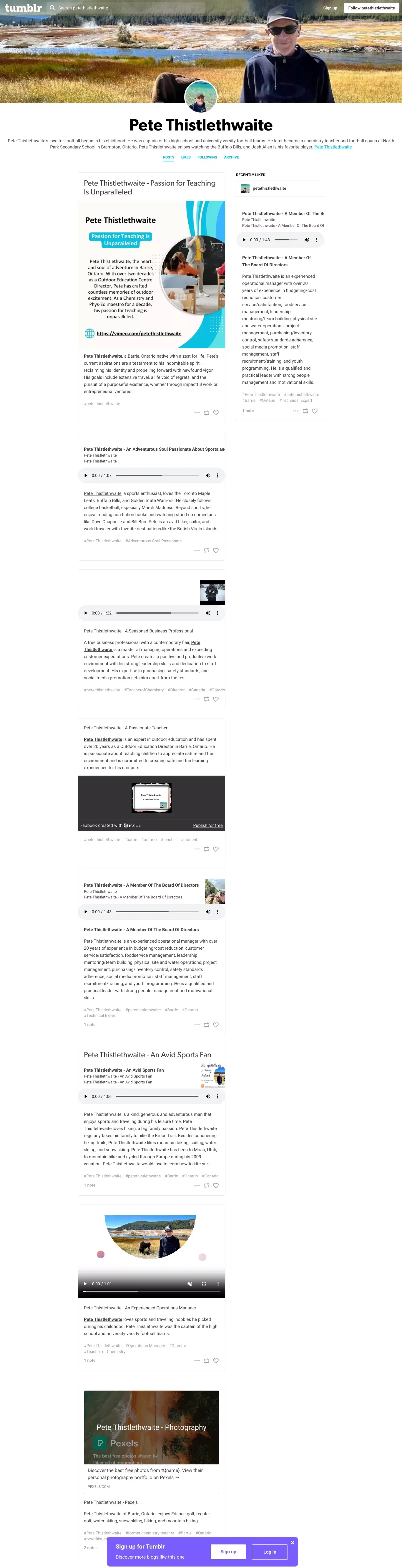 Pete Thistlethwaite - website design