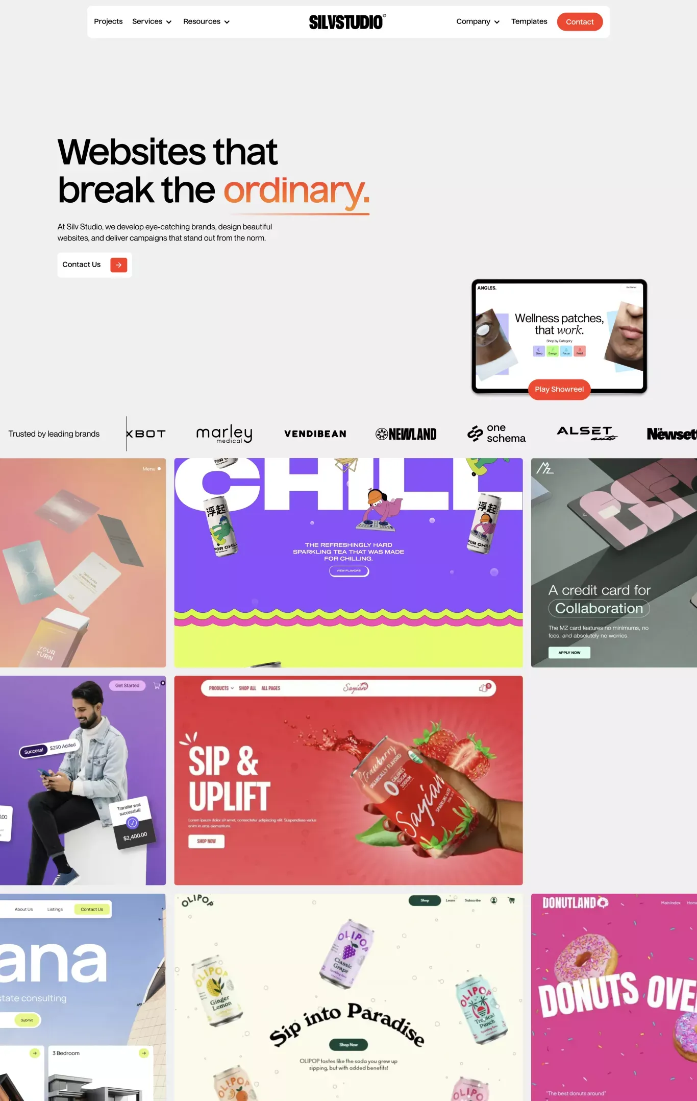 Custom Web Design & Development | Silv Studio Digital Marketing Agency - Landing design