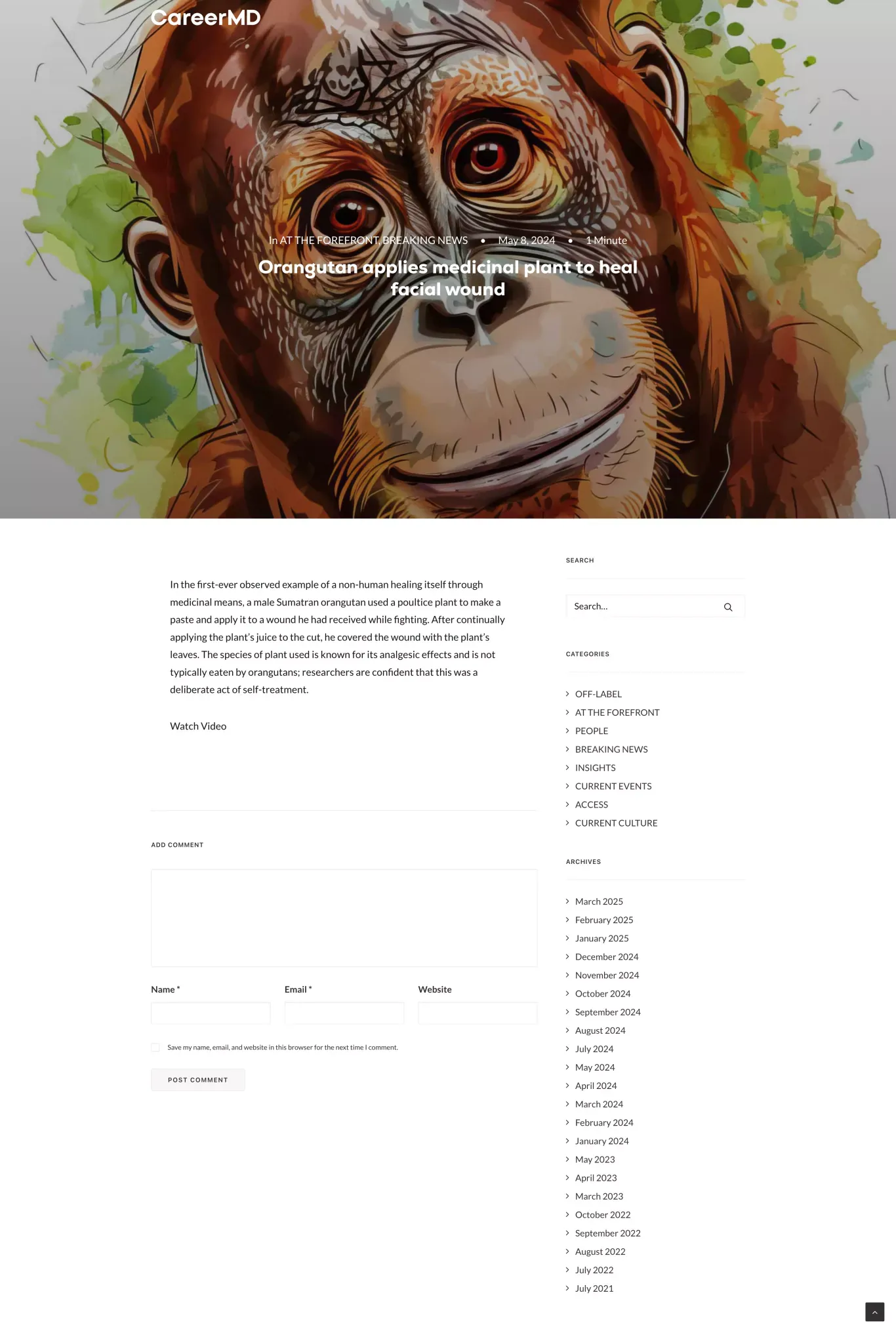 Orangutan applies medicinal plant to heal facial wound - CareerMD: Blog - Blog Post design