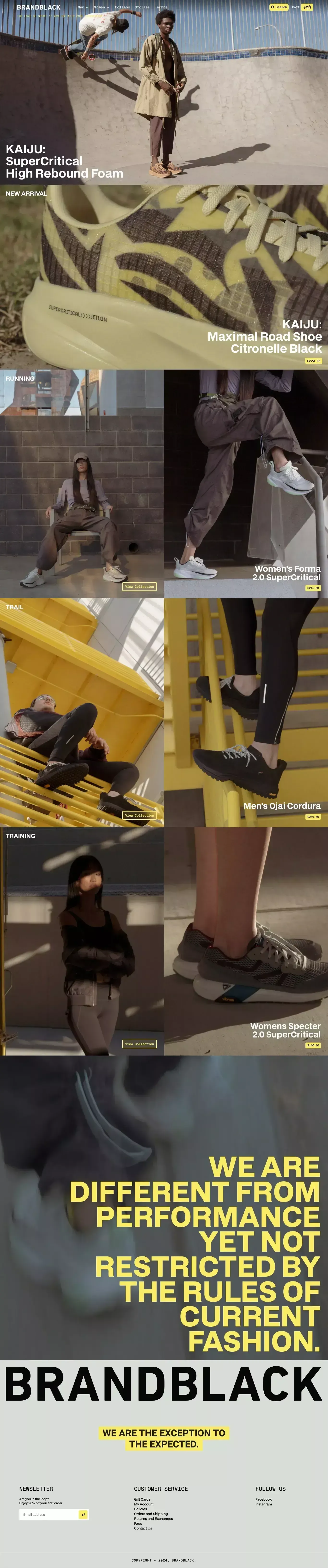 We are the Exception to the Expected– Brandblack - Ecommerce design