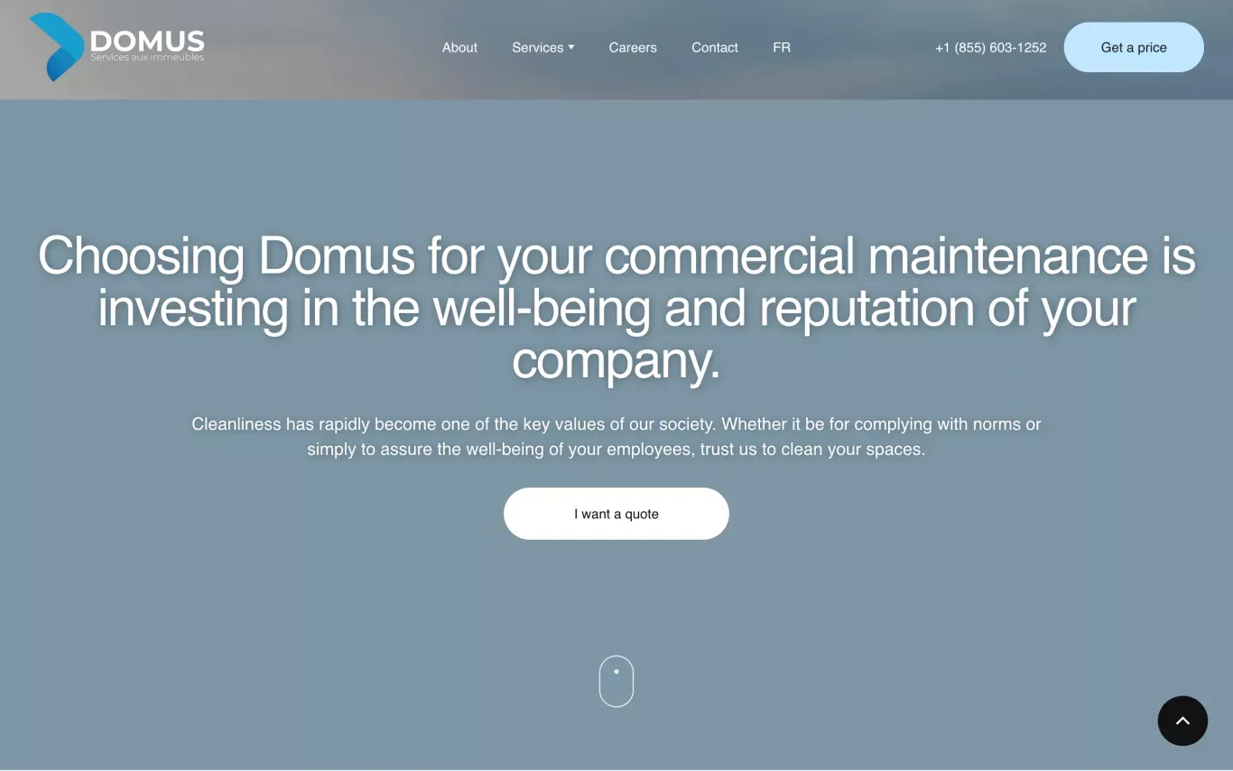 Projet Web du Groupe Domus | Uroboro - Portfolio design