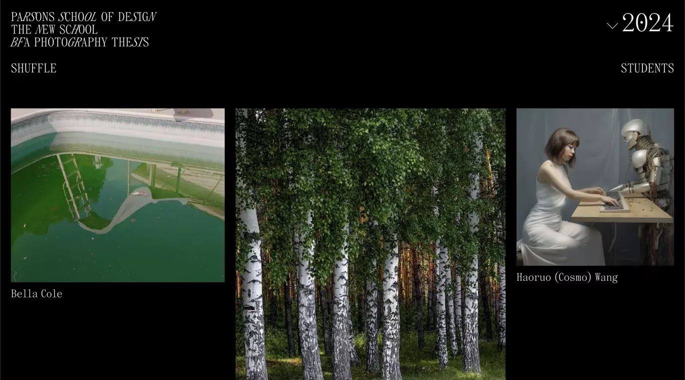 BFA Photography Thesis Exhibition - Portfolio design