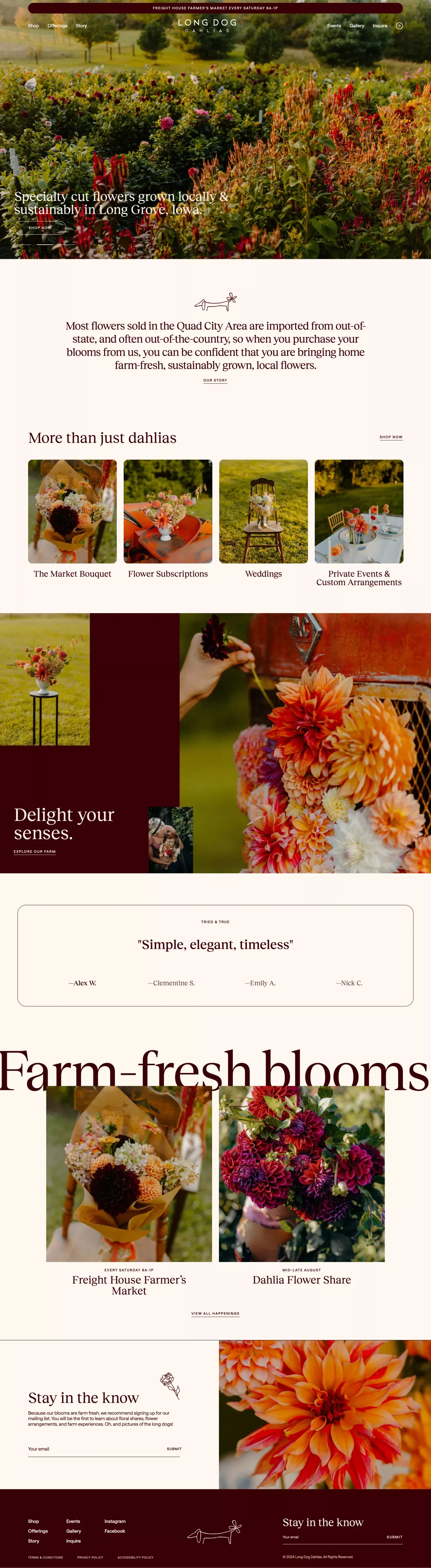 Long Dog Dahlias - Ecommerce design
