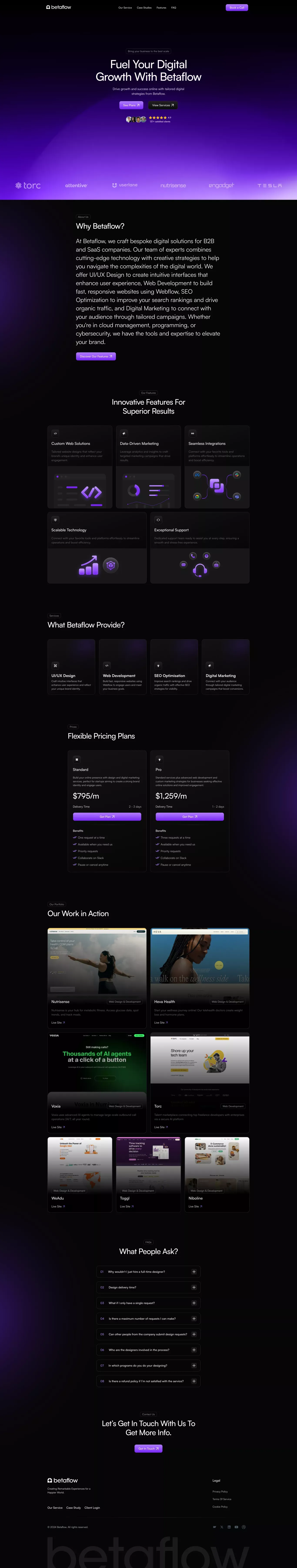 Betaflow | The Digital Marketing Agency That Drives Revenue - Landing design