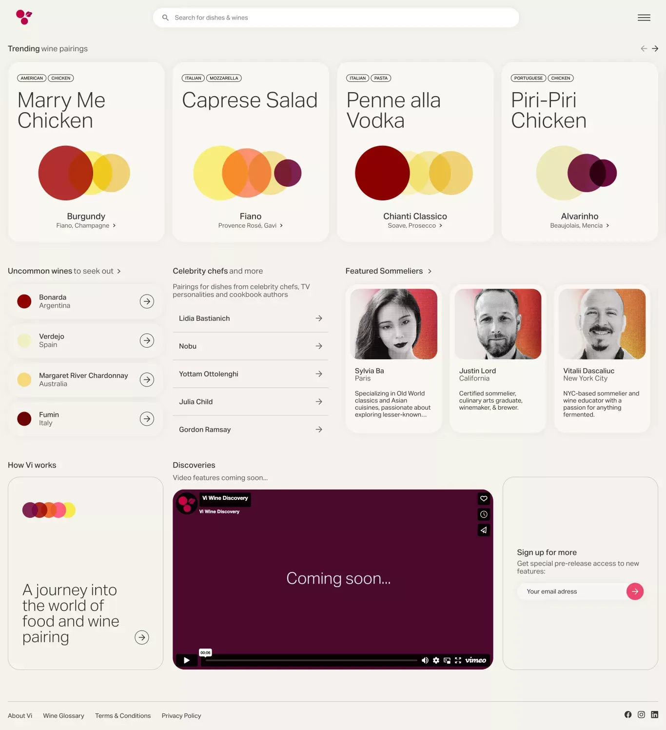 Expert Wine and Food Pairings | Vi - Other design