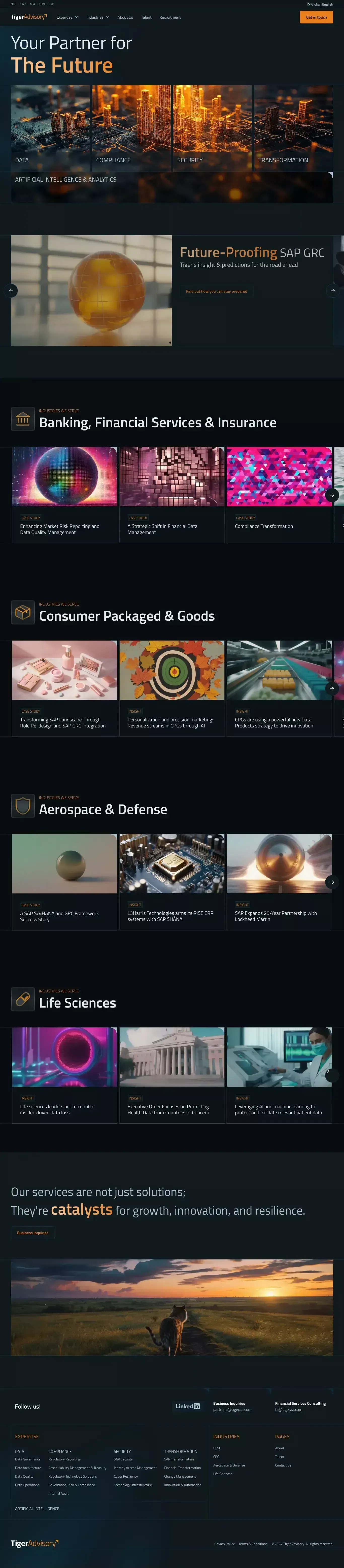 #1 Global Consulting on Data, Compliance & Security ✦ Tiger Advisory - Landing design