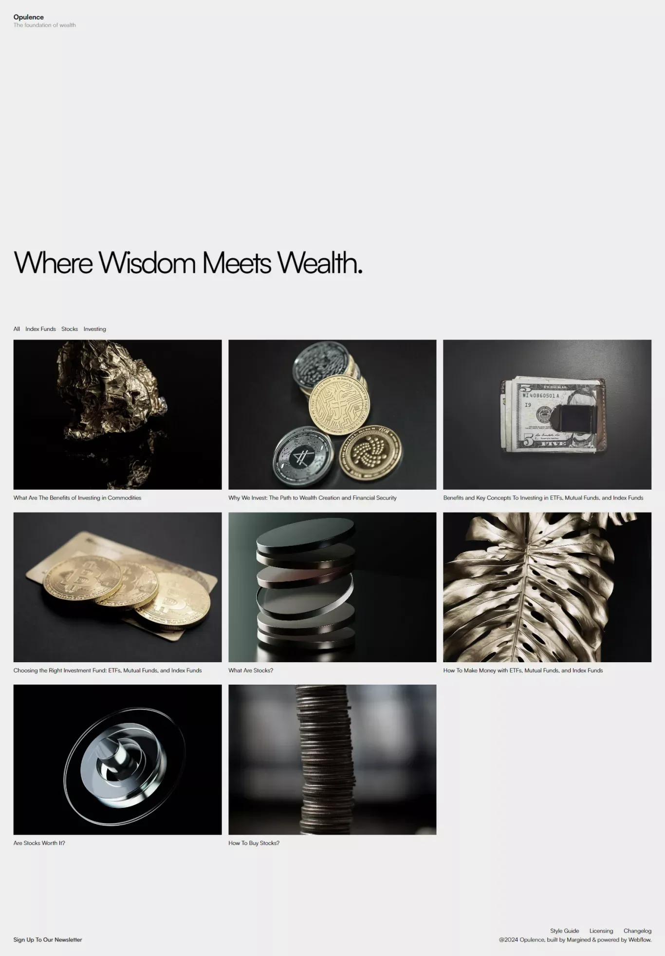 Opulence Website Page Template for Webflow - Template design