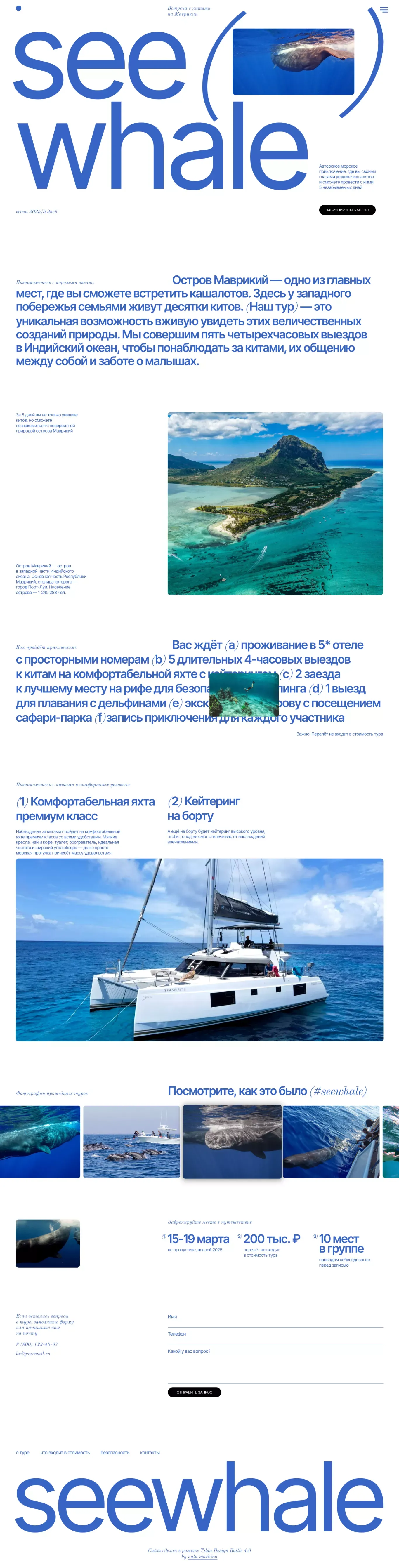 SeeWhale: встреча с китами на Маврикии - Landing design