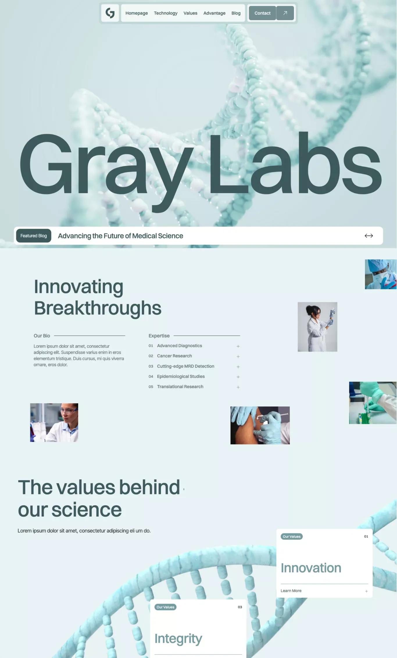 Gray Labs Website Page Template for Webflow - Template design