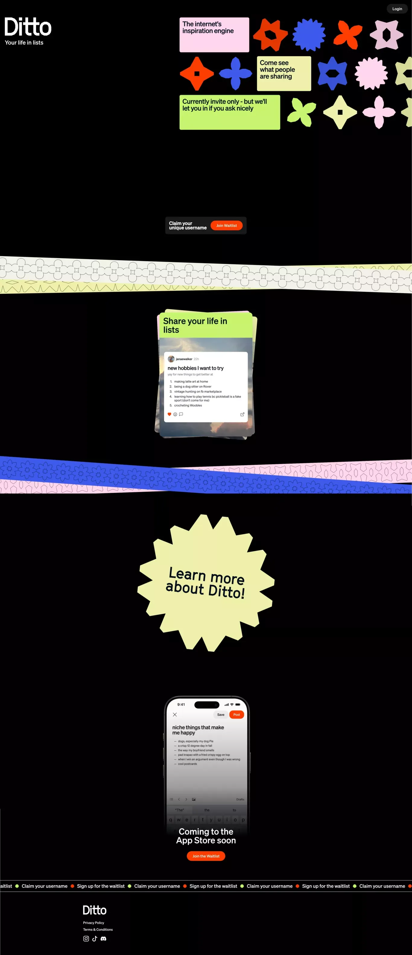 Ditto - Landing design