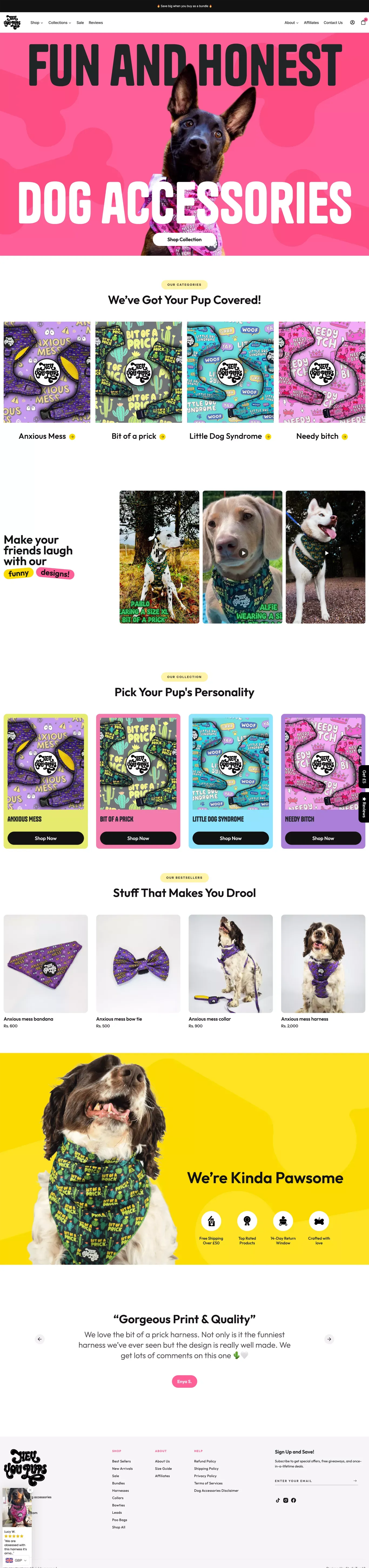 Hey You Pups: Fun and honest dog accessories! - Ecommerce design