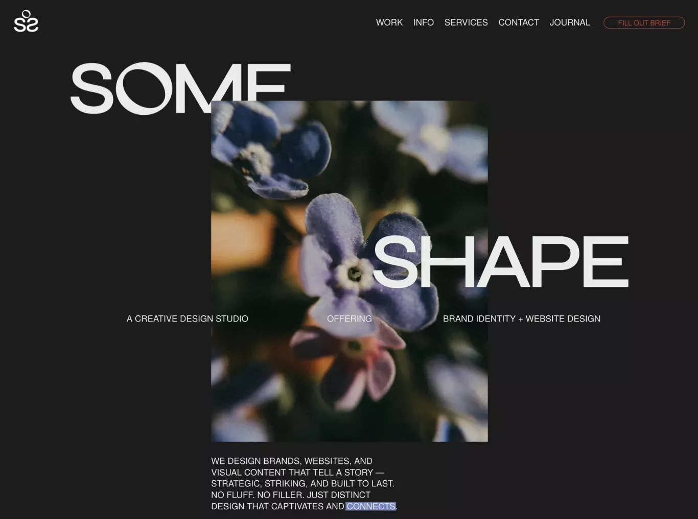 Some Shape | Experience Distinct Design - Landing design