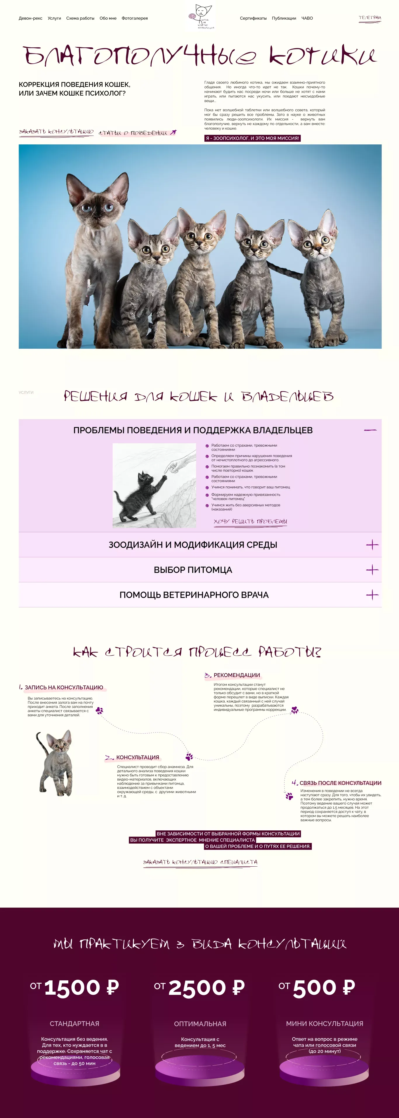 Syzrantseva Natalia- Expert UX/UI Designer | Mobile App Design & User Research | Portfolio - Landing design