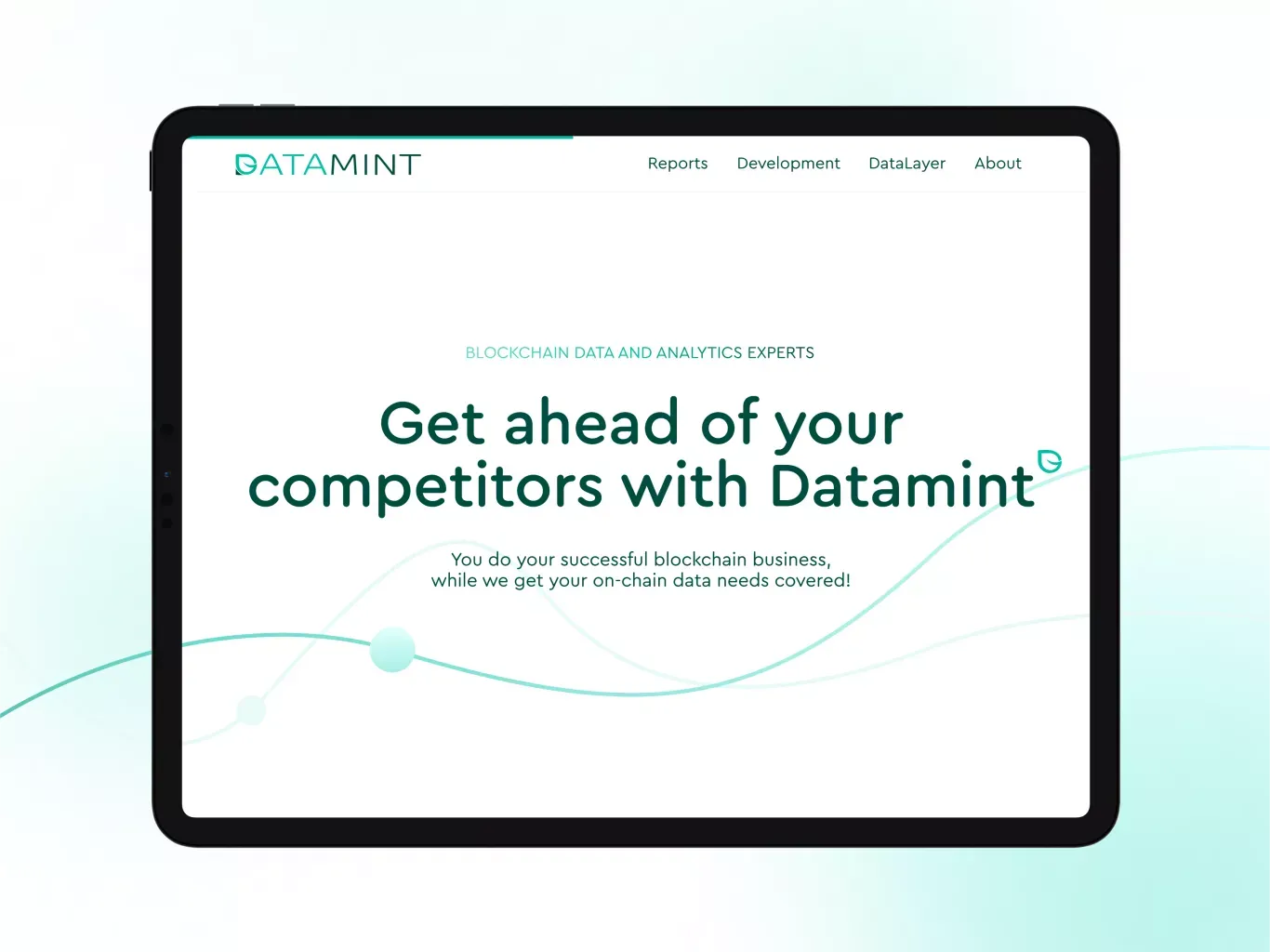 Datamint — Institutional-grade DeFi Data and Analytics Provider - Product page design