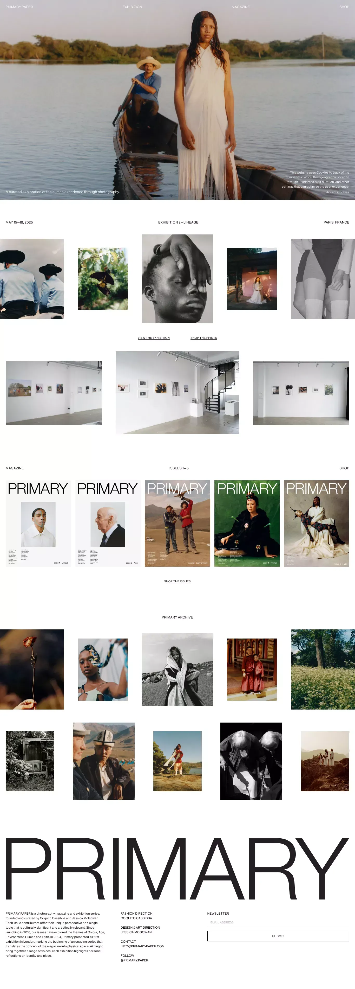 PRIMARY PAPER - Portfolio design