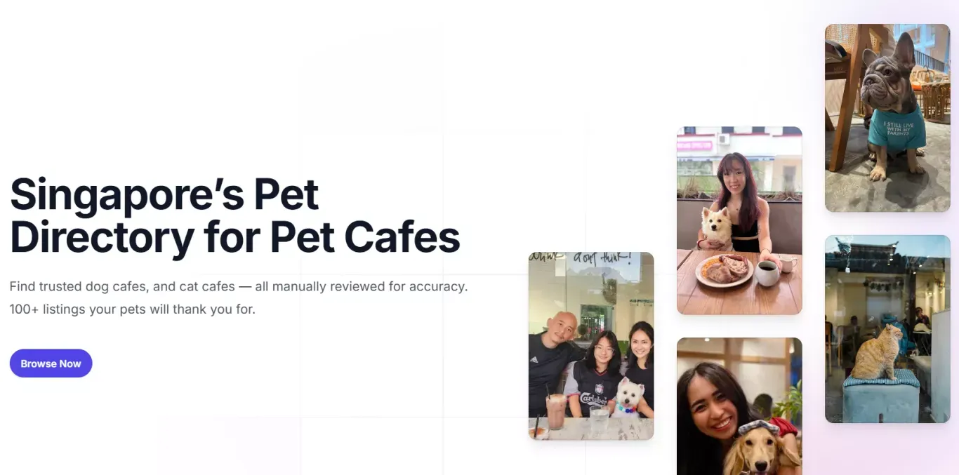 Pawwhere | Find Pet Services in Singapore - Pet Cafes & More - Other design
