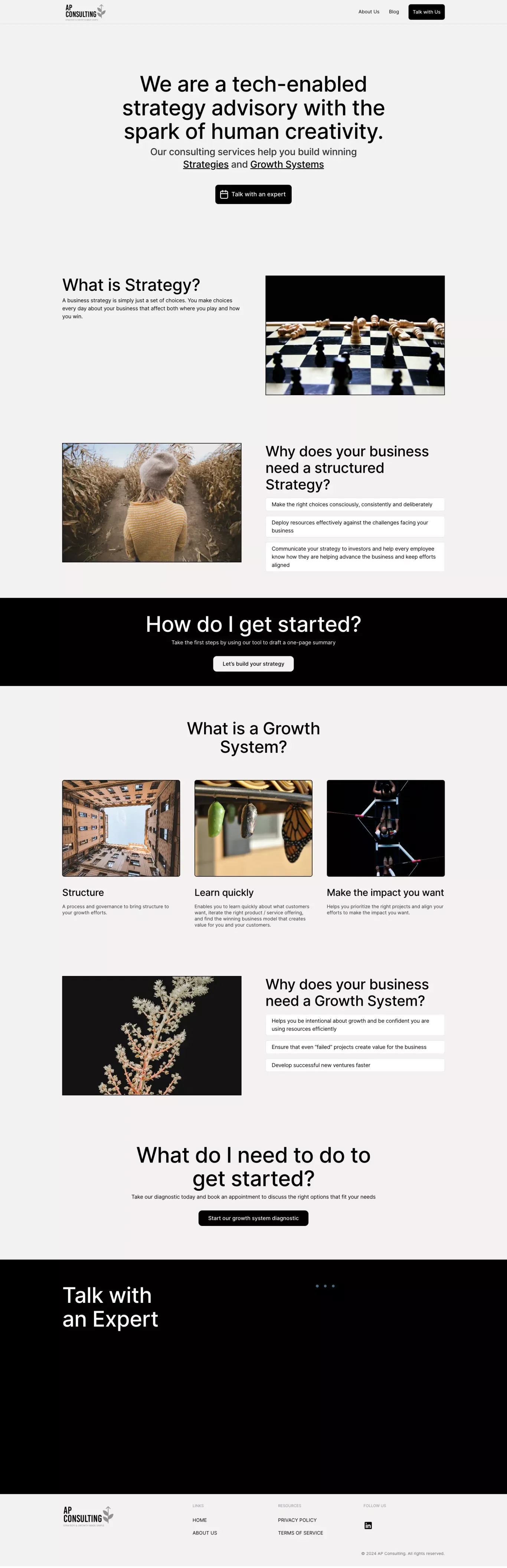 AP Consulting - Landing design