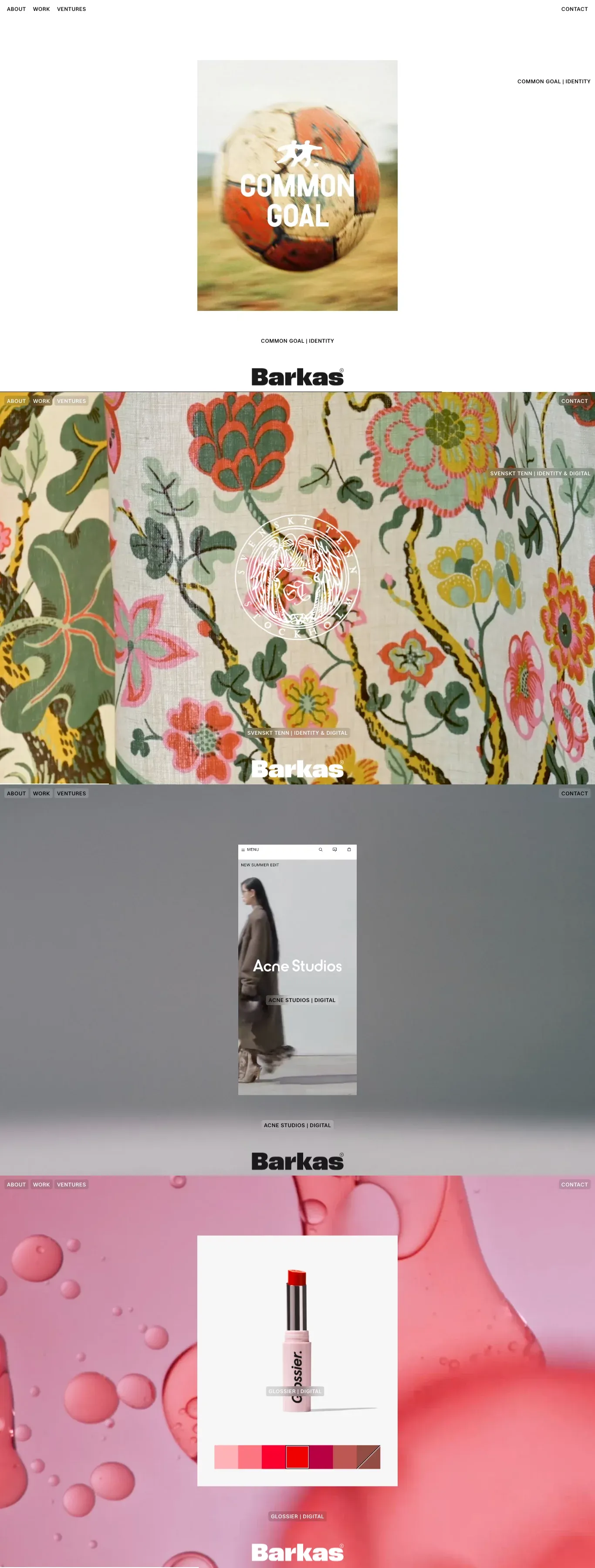 Barkas - Portfolio design