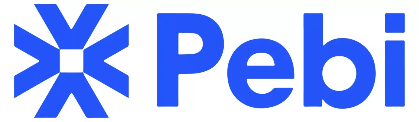 Pebitech: Custom Software Development Company - Other design
