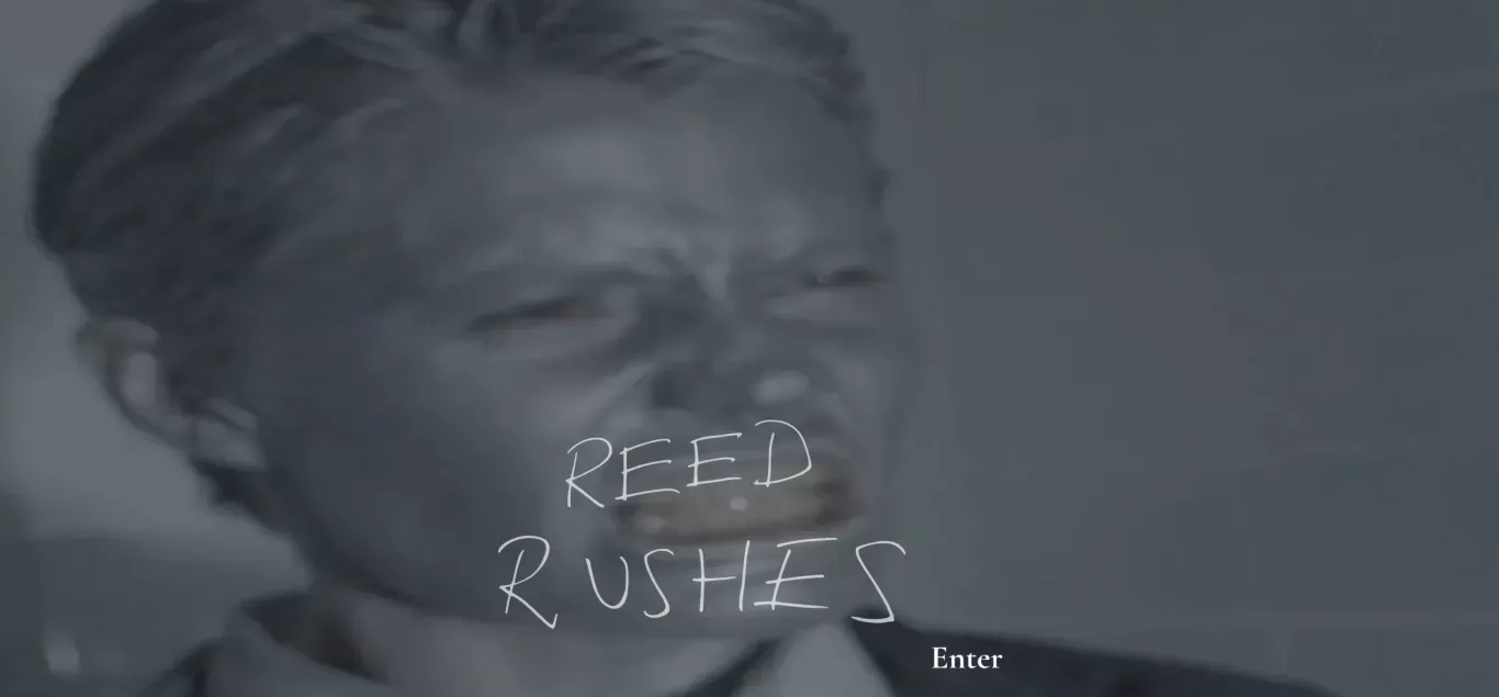 ReedRushes - Portfolio design