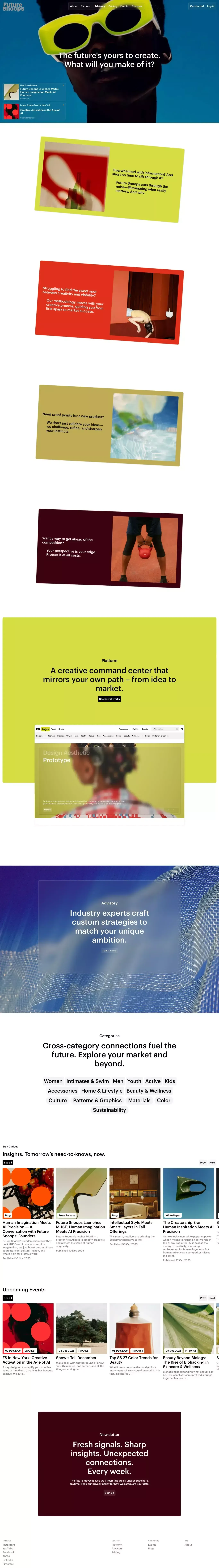 Future Snoops - Portfolio design