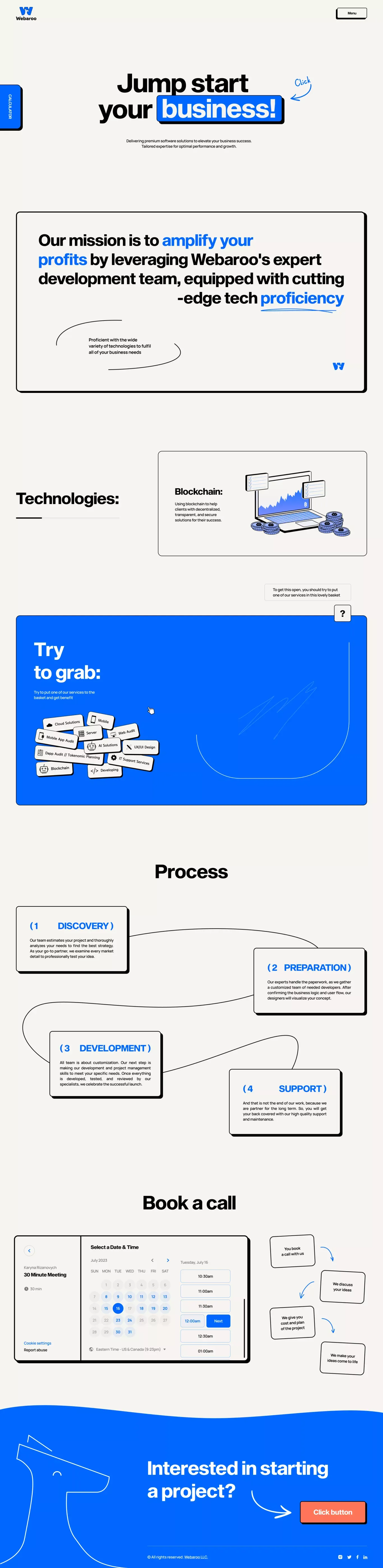 Webaroo | Custom Software Engineering & Development Services - Landing design