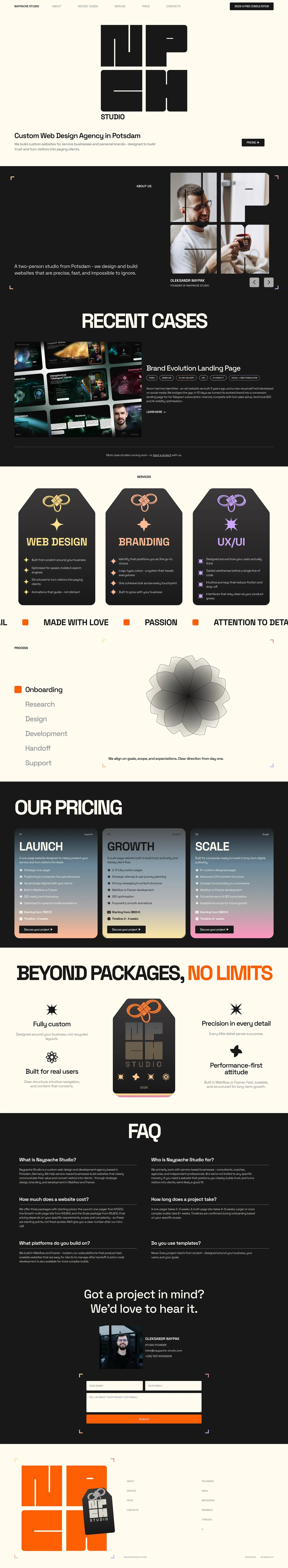 NAYPACHE STUDIO | Custom Web Design & Development Agency in Potsdam - Landing design
