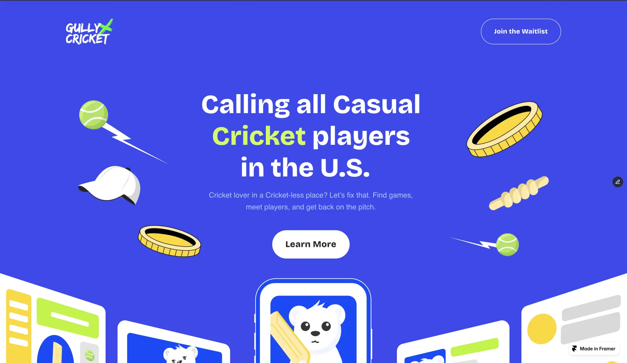 Gully Cricket - Landing design