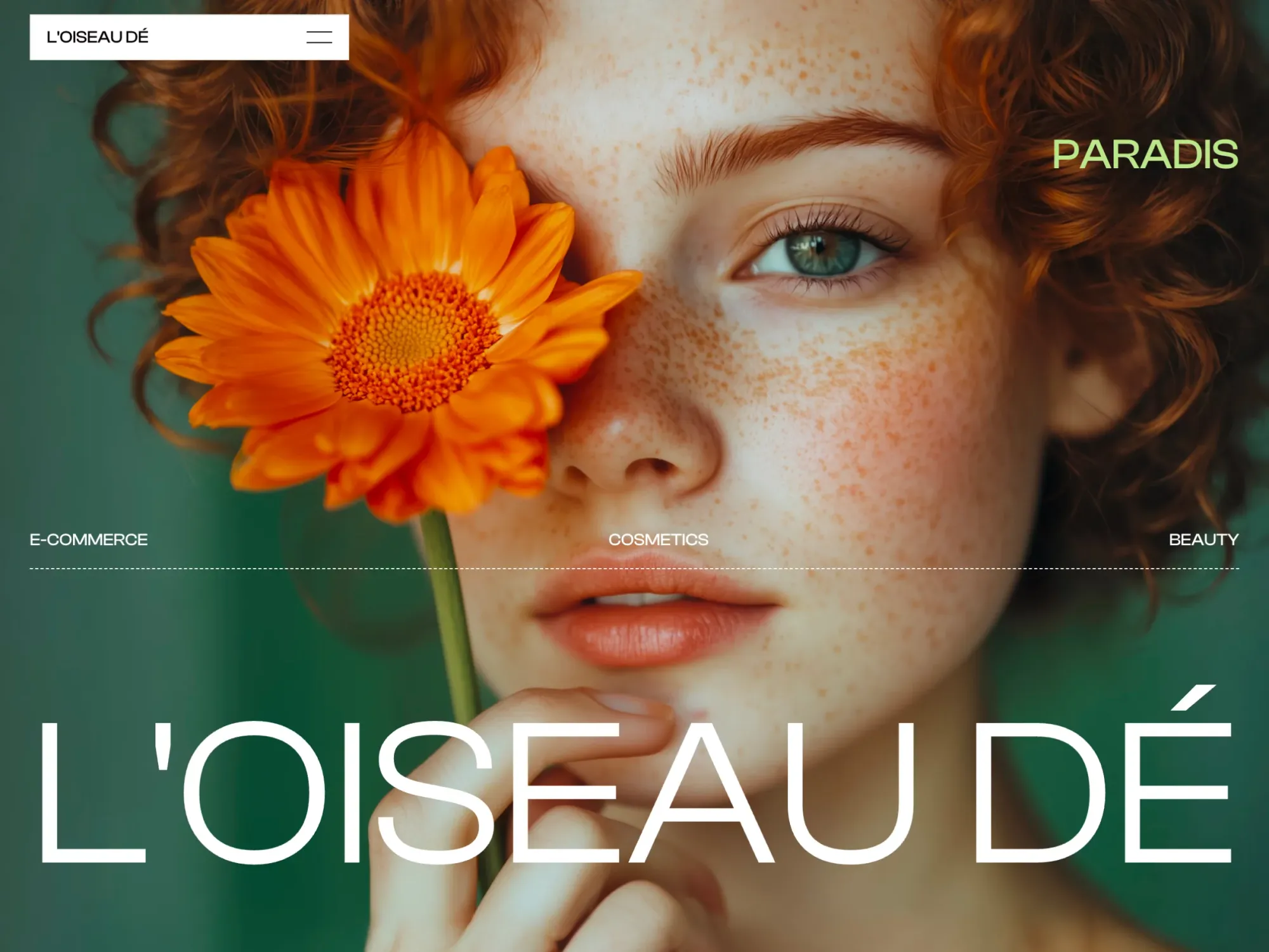 L'OISEAU DÃ - Ecommerce design