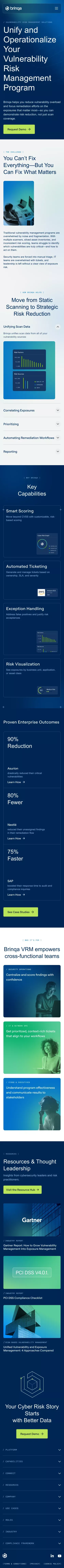 Brinqa | AI-Powered Vulnerability & Exposure Management Platform mobile view