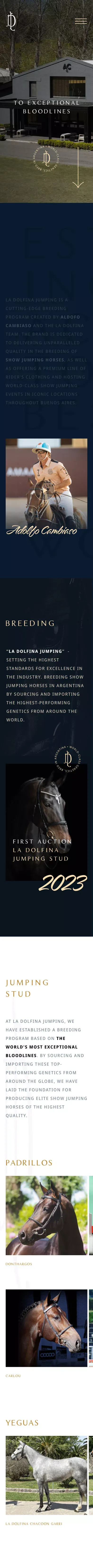 La Dolfina Jumping. World class genetics, breed in Argentina mobile view