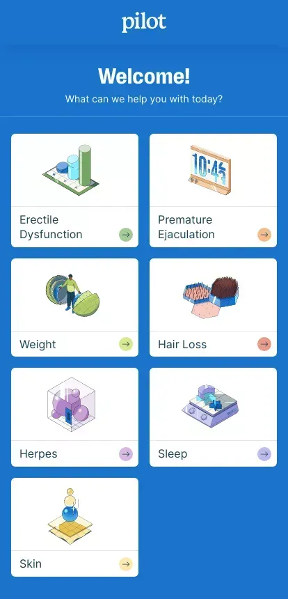 Pilot mobile view