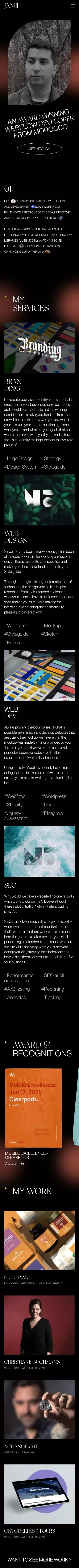 Webflow Developer in Morocco | Tarik Jamil mobile view