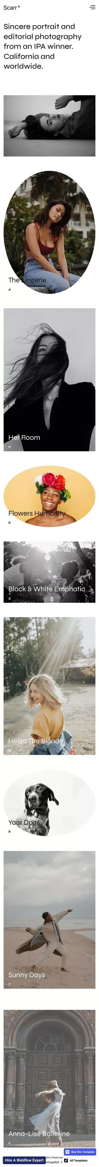 Scarr - Webflow HTML website template mobile view
