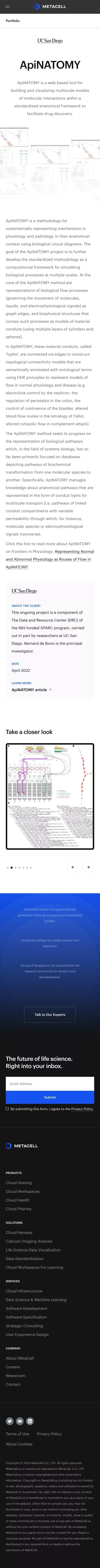 ApiNATOMY | Case Study | MetaCell mobile view