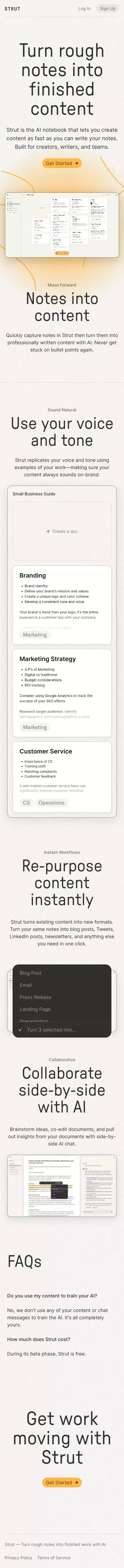 Strut — Turn rough notes into finished content with AI mobile view