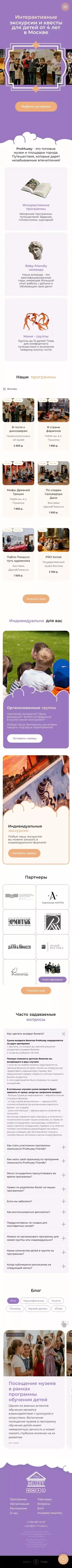 ProMuzey mobile view