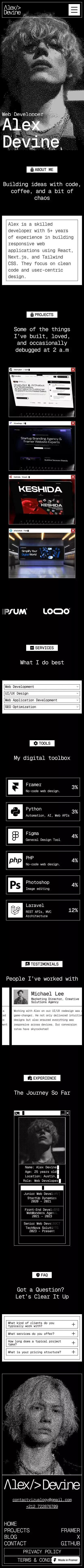 Devolio â Terminal-Style Developer Portfolio mobile view