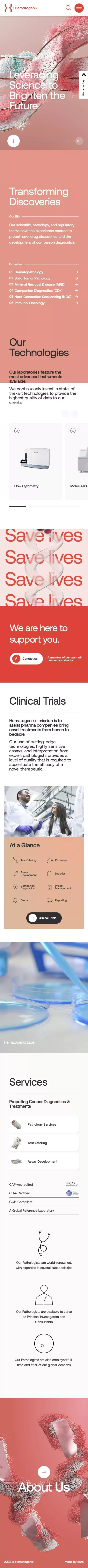 Hematogenix â Bringing Precision Medicine to Everyone mobile view