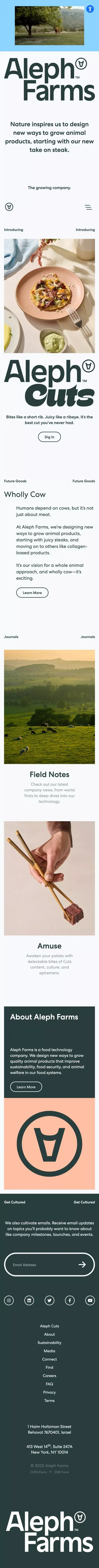 Sustainable, Cultivated Meat. Steak Done Right. | Aleph Farms mobile view