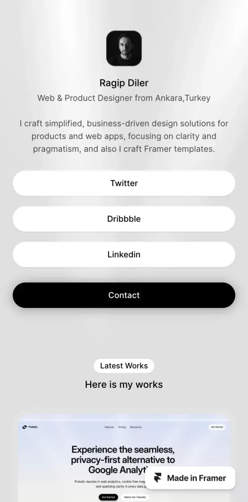 Ragip Diler - Web & Product Designer mobile view