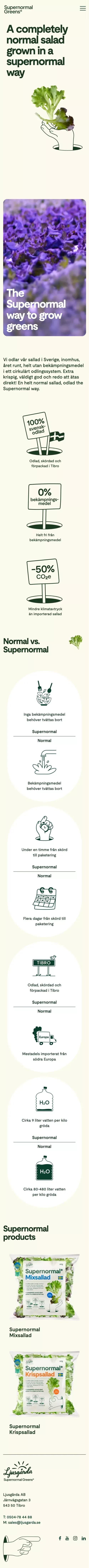 Supernormal Greens | Sallad med gott samvete från Ljusgårda mobile view