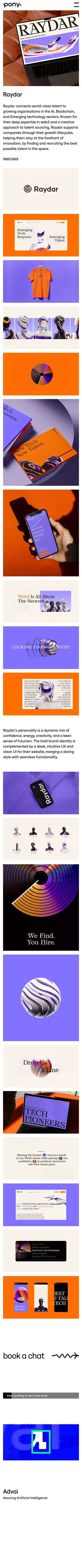 Brand Identity and Website Design roject - Raydar Case Study mobile view