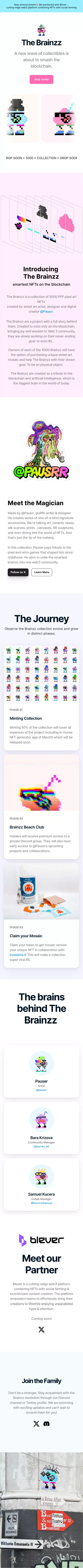 The Brainzz mobile view
