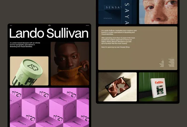 Lando - Free Framer Template - Portfolio design inspiration