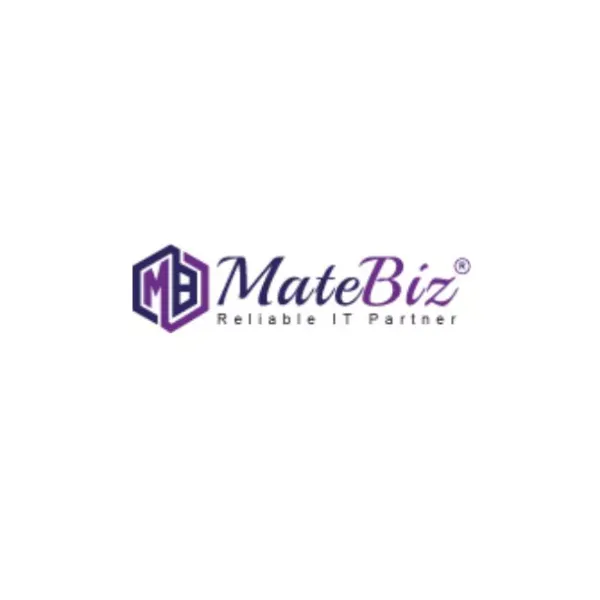 Web Design Agency in Australia| Website Design Australia- Matebiz