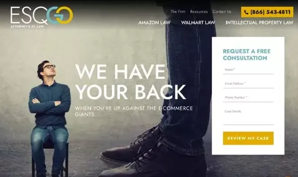 Amazon Seller Lawyer | We Protect & Help Advance Businesses | ESQgo