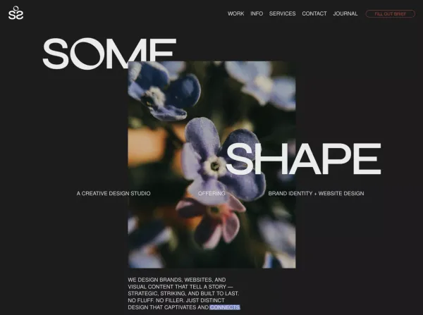 Some Shape | Experience Distinct Design
